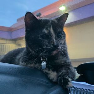 Meet your Posher, Ashara